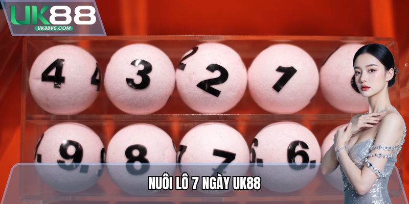 Nuôi Lô 7 Ngày